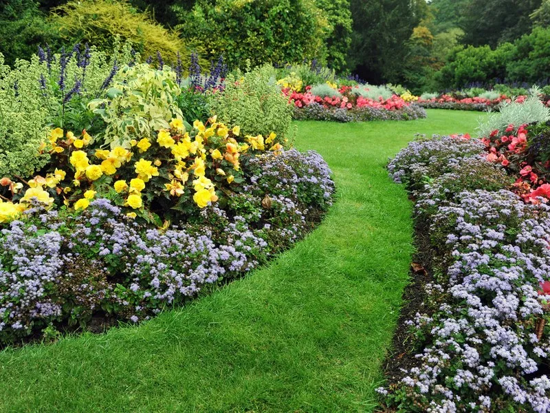 gardening-and-the-environment-800x-600x