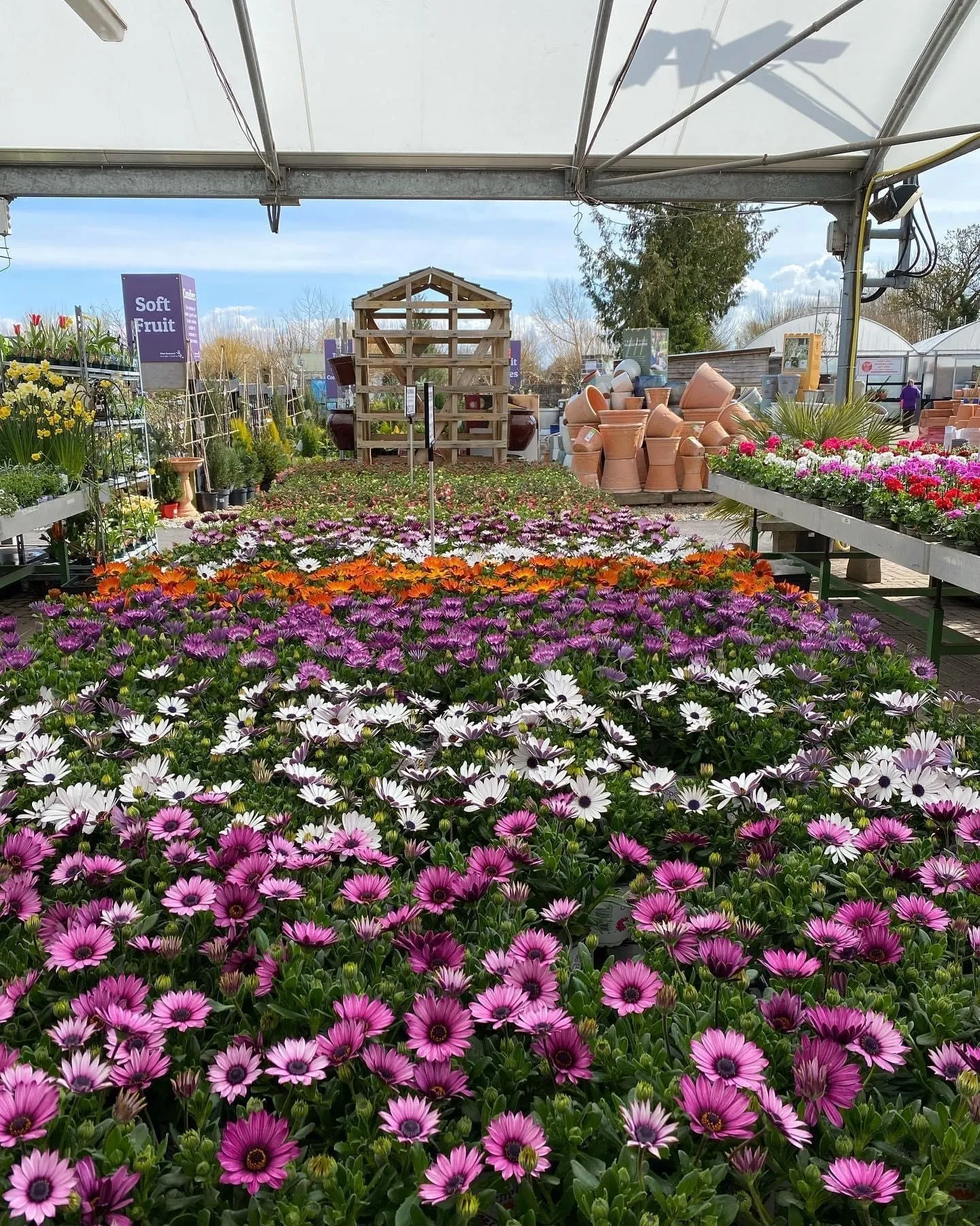 Garden_Centre_1 Garden_Centre_1