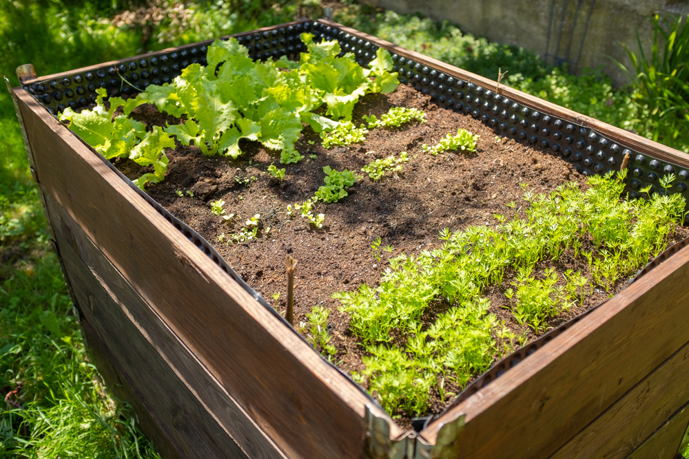 Choose the Right Vegetables