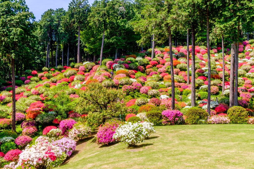 Common Problems and How to Fix Them