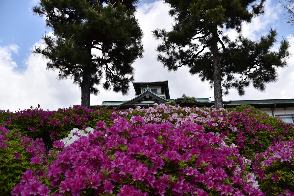 Understanding the Japanese Inspired Style